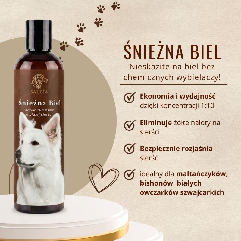 SALCIA Premium Banner