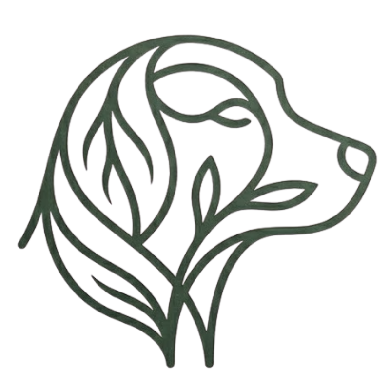 logo sklepu salcia