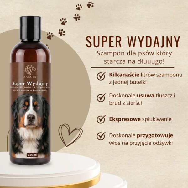 zalety produktu